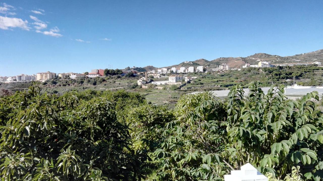 Willa Casa Paloma Blanca Malaga Zewnętrze zdjęcie